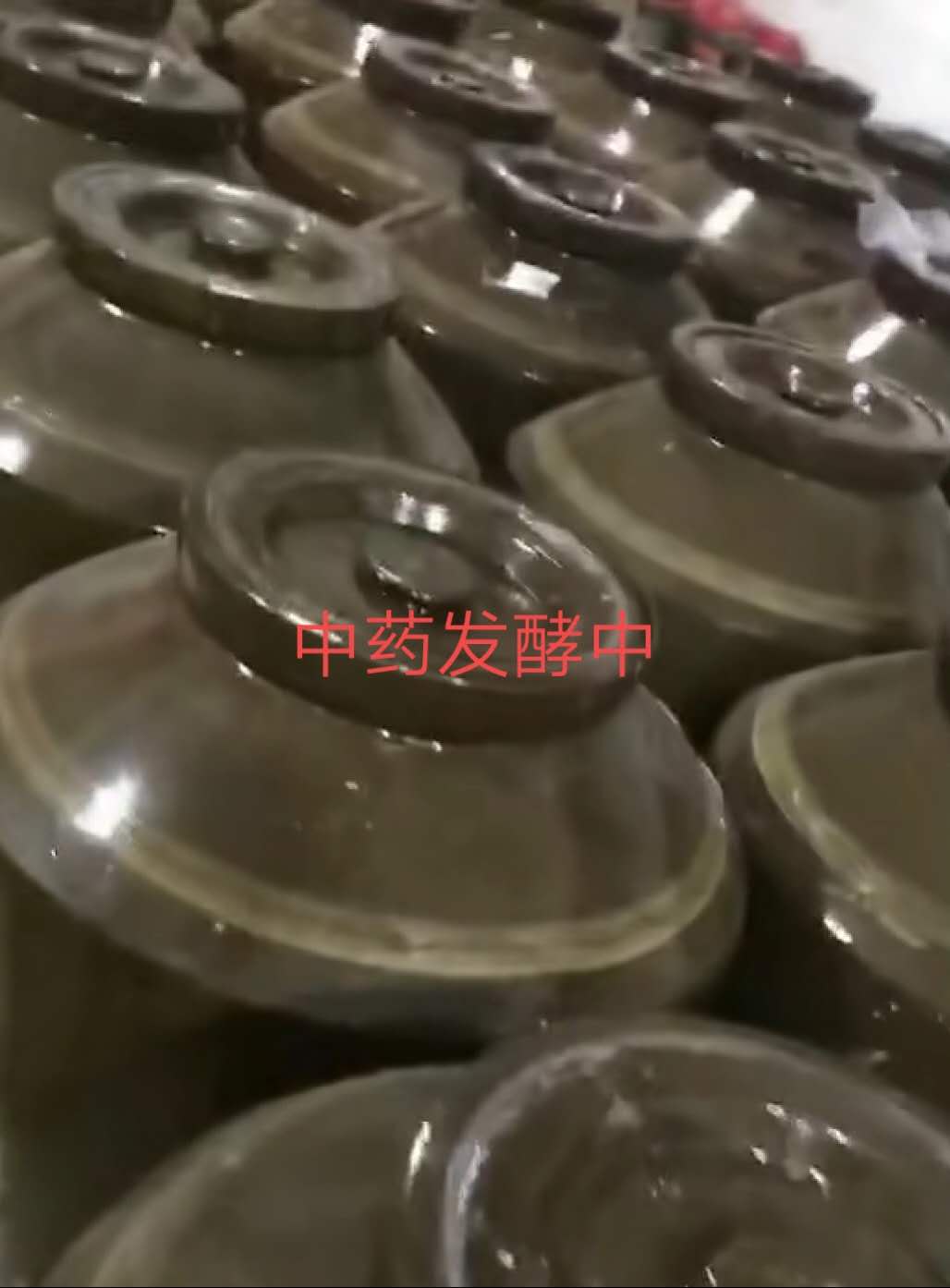 中藥發(fā)酵缸.jpg
